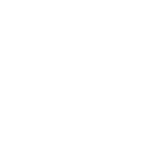 Echo_White